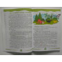 ЧитоЛіто з 2 в 3 клас посібник для літнього читання Савчук А., Сапун Г.