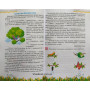 Літня читанка з 1 в 2 клас посібник для літнього читання Вознюк Л., Сапун Г.
