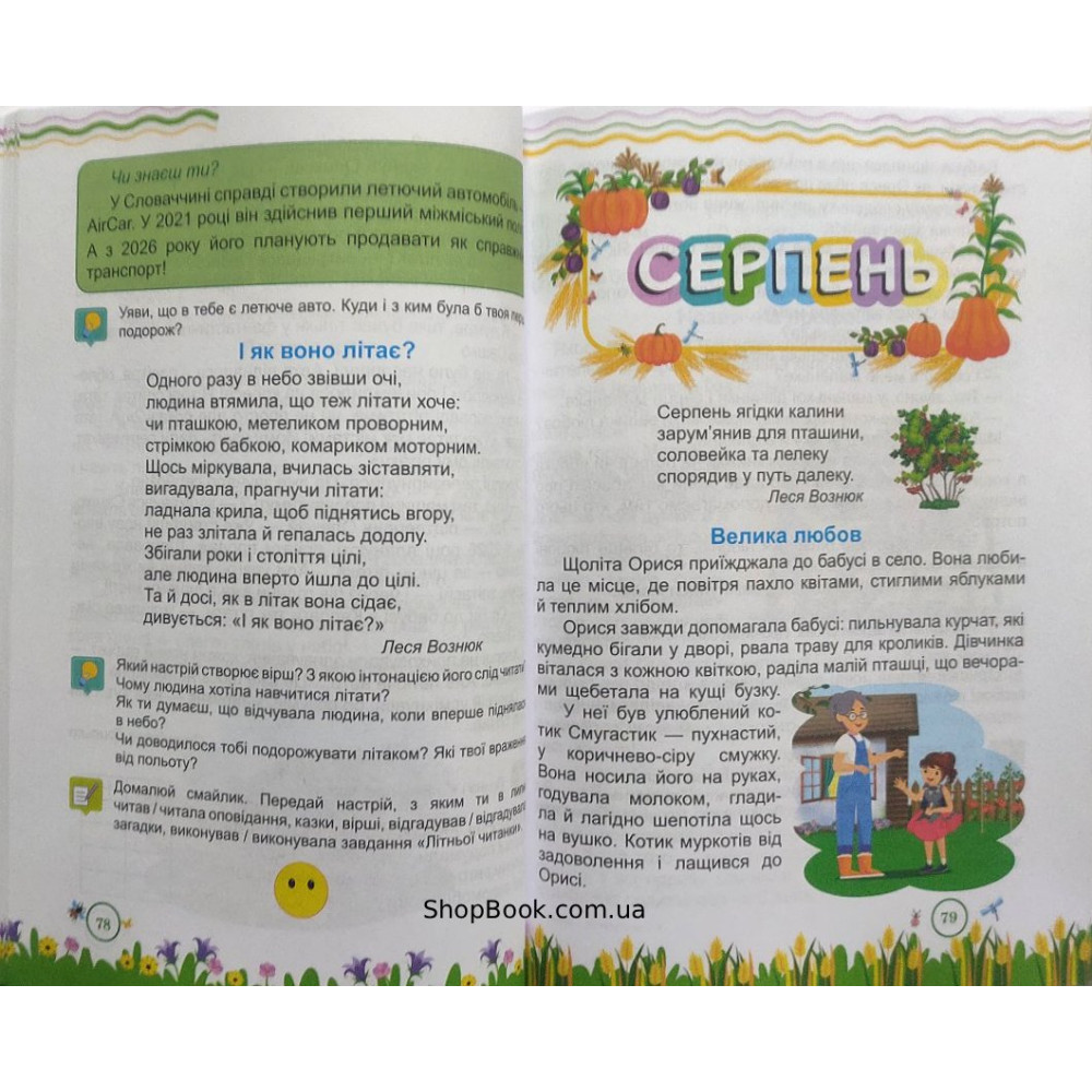 Літня читанка з 2 в 3 клас посібник для літнього читання Вознюк Л., Сапун Г.