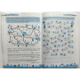 Моє веселе літо зошит майбутнього четвертокласника посібник для літніх канікул Вознюк Л., Шумська О.