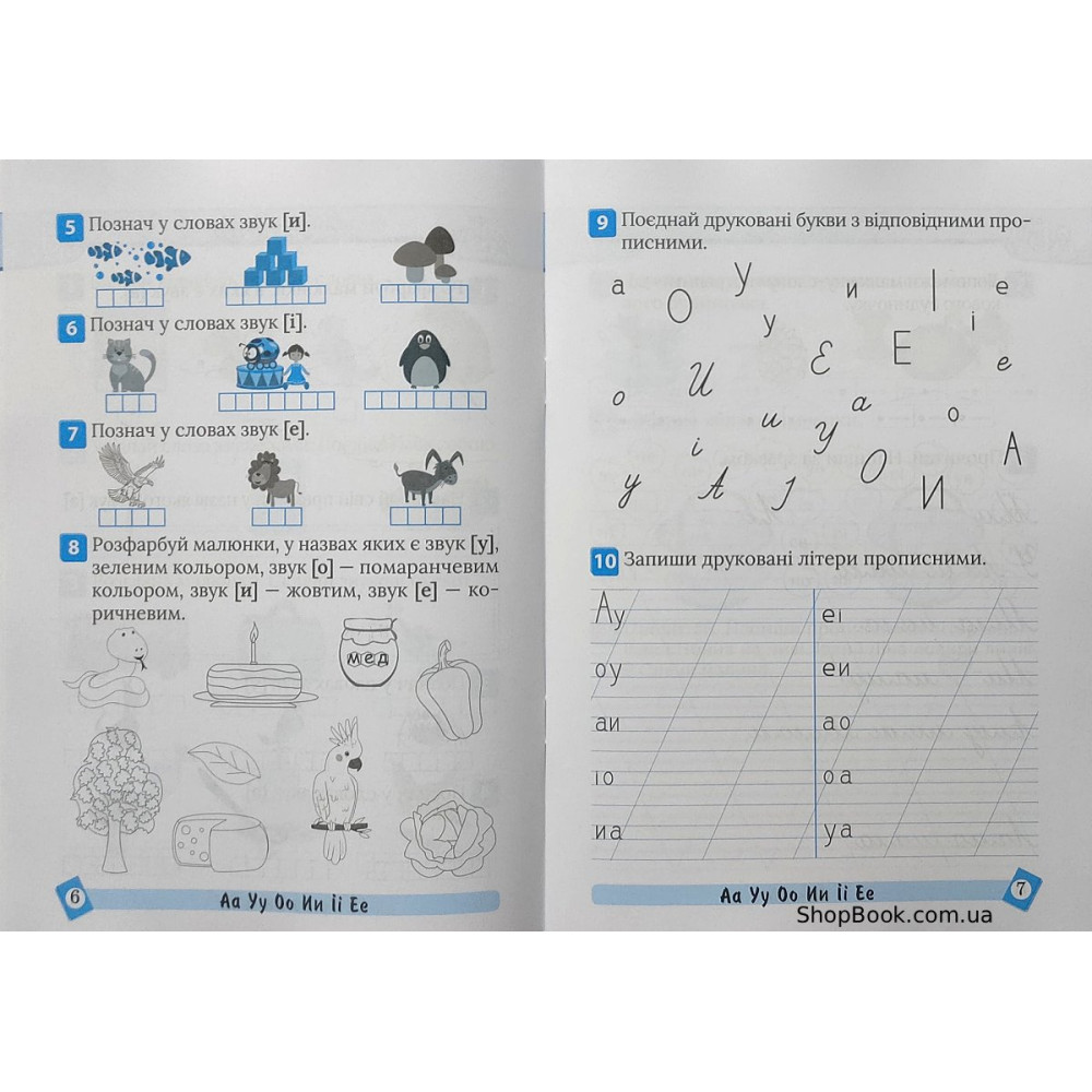 Українська мова 1 клас тематичний тренажер Шевченко К.М.