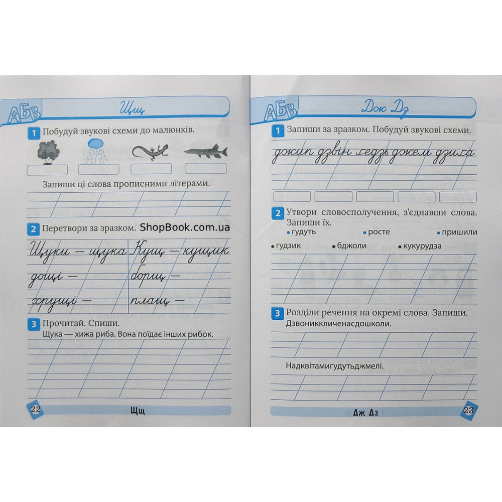 Українська мова 1 клас тематичний тренажер Шевченко К.М.