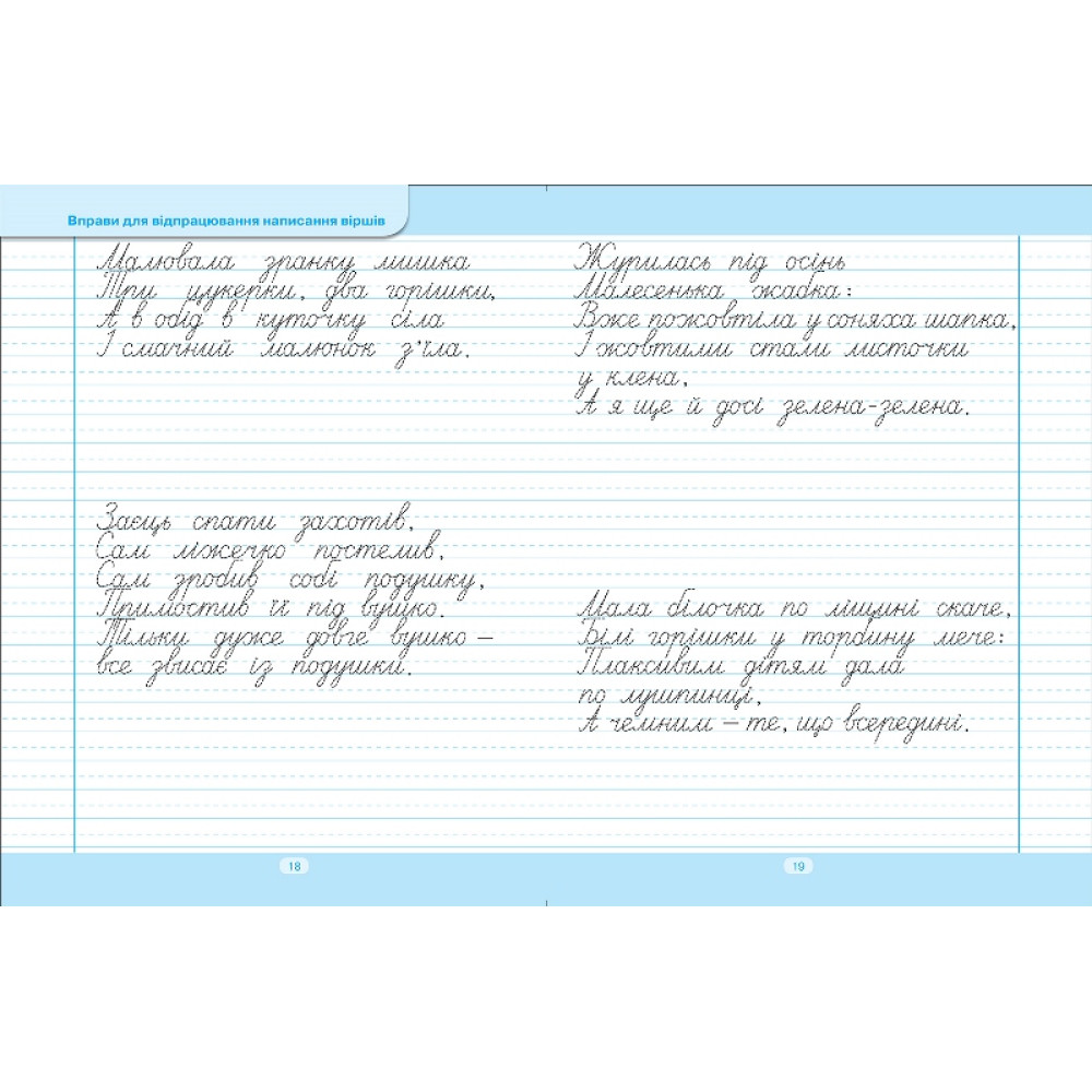 Тренажер для списування речень і текстів. Широка лінійка